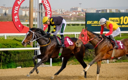 Ankara Emniyet Müdürlüğü Koşusu'nda Zafer Dragon Kingdom'ın Oldu