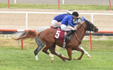 Mustafa Kavçın Koşusu'nda Zafere Cebeltuna Ulaştı