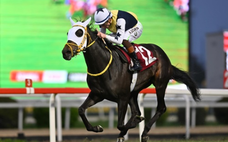 F. Derya Beşikçi Koşusu'nda Zafere Star Runner Uzandı