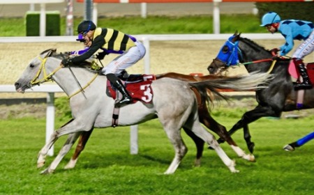 Attila Midillili Koşusu'nda Formda Safkan By Türkoğlu'ndan Üst Üste 5. Zafer!