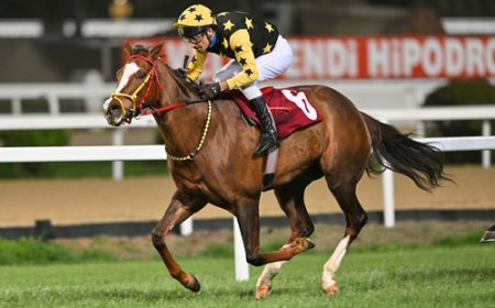 N. Arek Kuyumciyan Koşusu'nda Zafere Amazing Touch Uzandı