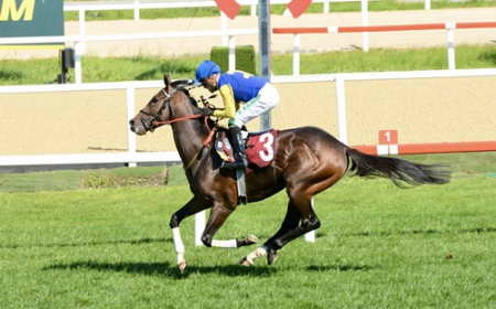 Tevfik Çelikoğlu Koşusu'nda Çim Pistin Kazananı Power Song Oldu