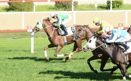Ali Doğan Ünlü Koşusu'nda Usta Jokeyiyle Kazanan Tonbi Oldu