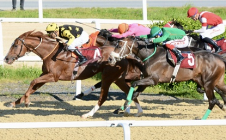 M. Halim Celaloğlu Koşusu'nda Zafere Poetry In Motion Ulaştı