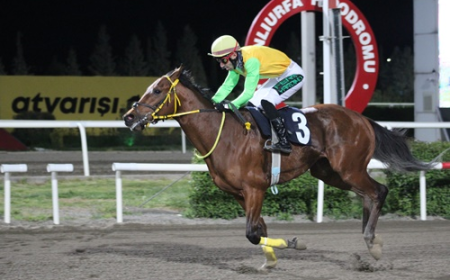 Harran Üniversitesi Koşusu'nda Zafer King Ferit'in Oldu