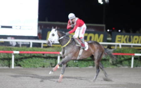 Şanlıurfa Veteriner Hekimleri Odası Koşusu'nda Zafer King Ova'nın Oldu