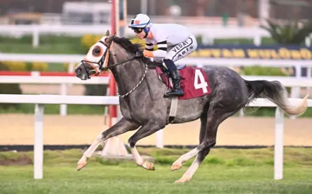 Türk Kalp Vakfı Koşusu'nda Zafere Ulaşan Erdek Oldu