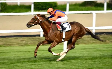 İstanbul Büyükşehir Belediye Başkanlığı Koşusu'nda Şampiyon Al Tan!