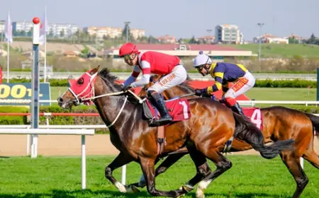 Dünya Veteriner Hekimler Günü Koşusu'nda Zafere Altınsima Ulaştı