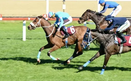 Kadir Keçelioğlu Koşusu'nda Zafere Gold Flower Uzandı
