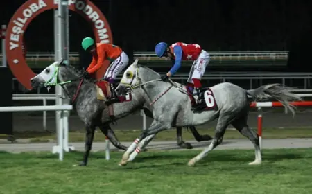 Olimpiyat Şampiyonu İsmet Atlı Koşusu'nda Zafere Saçanşah Uzandı