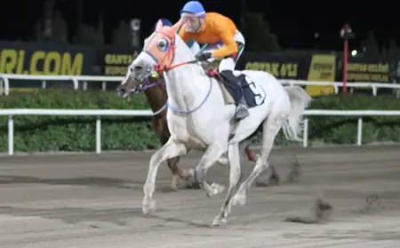 Şanlıurfa İl Emniyet Müdürlüğü Koşusu'nda Zafer Muşfırtınası'nın Oldu