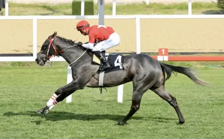 Malayan Racing Association Koşusu'nda Zafere Bold Lion Ulaştı