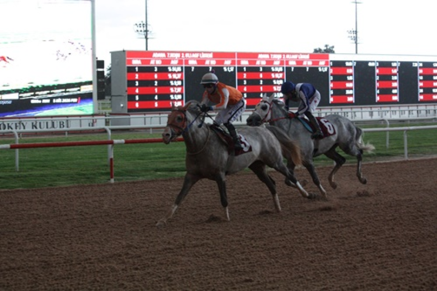 Yasin Milli Koşusu'nda Zafere Endorfin Ulaştı