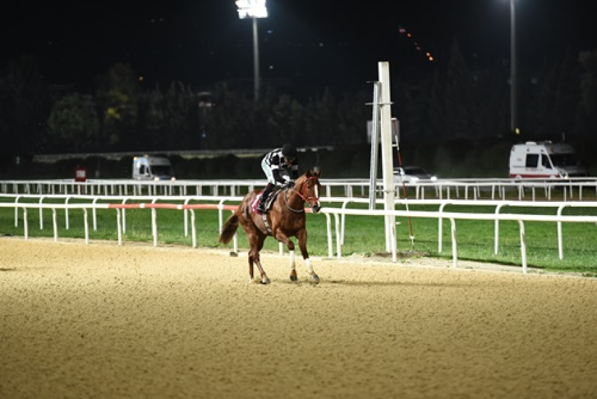 Gür Özbelge Koşusu'nda Kazanan Hard Runner Oldu