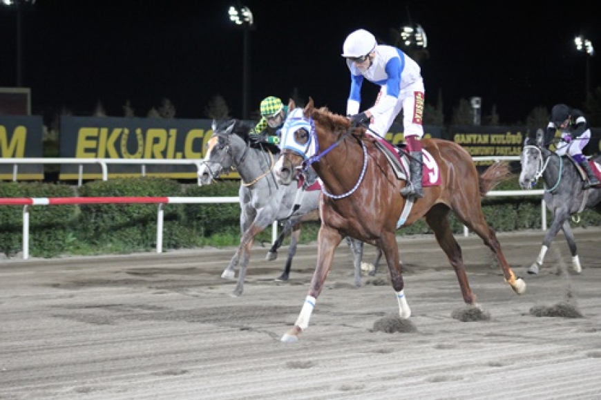 Gap Koşusu'nda Zafere The Hocus Ulaştı