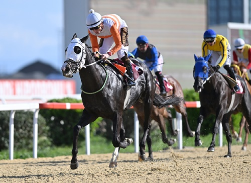 İstanbul Emniyet Müdürlüğü Koşusu'nda Zafer Mucho Bueno'nun Oldu