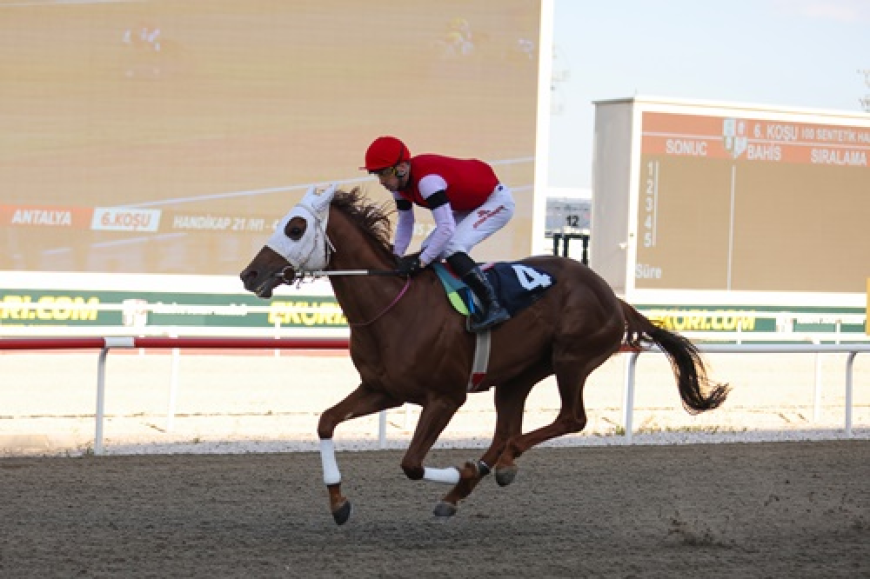 Antalya Emniyet Müdürlüğü Koşusu'nda Address Rüzgarı Esti!