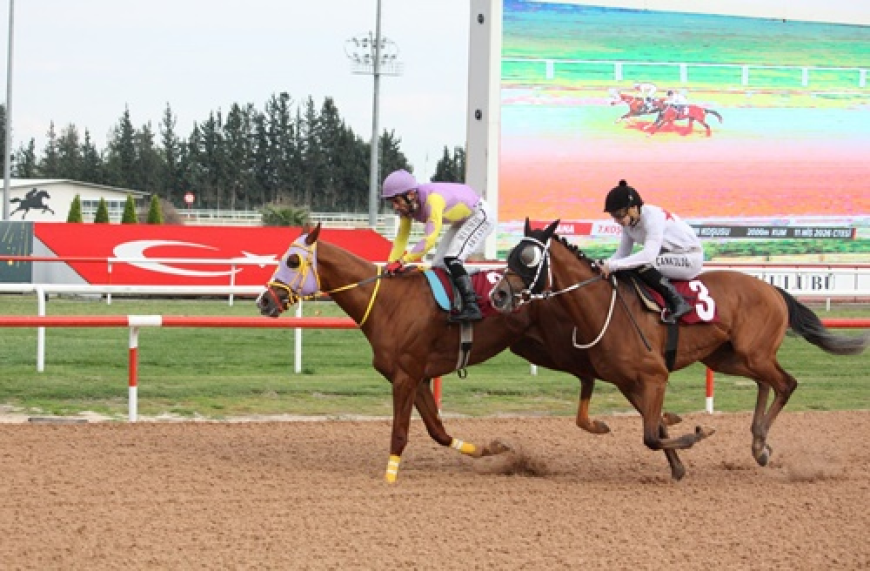 Ali Rıza Ongun Koşusu'nda Zafer Empire Man'in Oldu