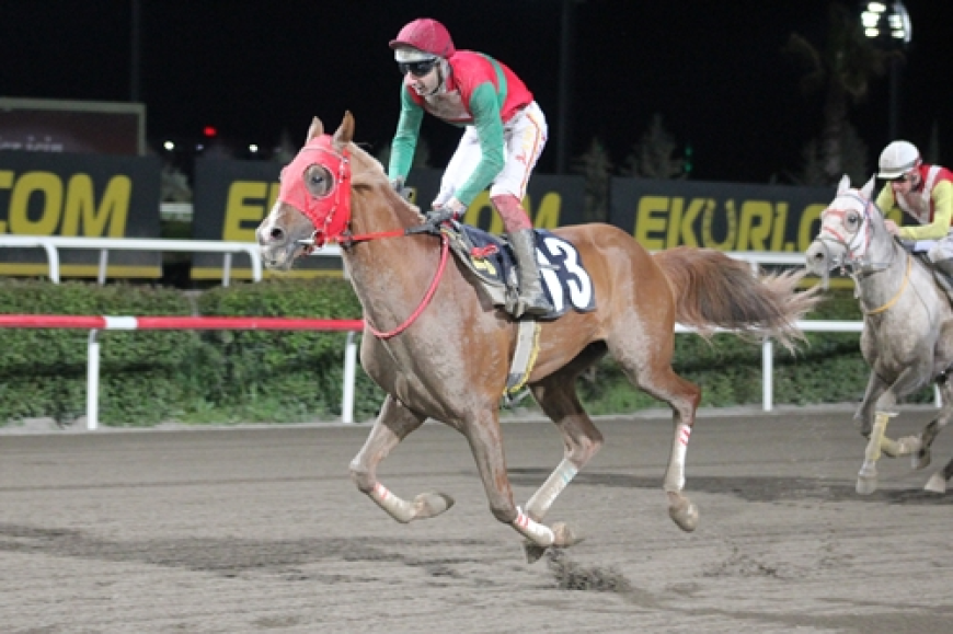 Şanlıurfa Ticaret Borsası Koşusu'nda Zafere Akolhan Ulaştı