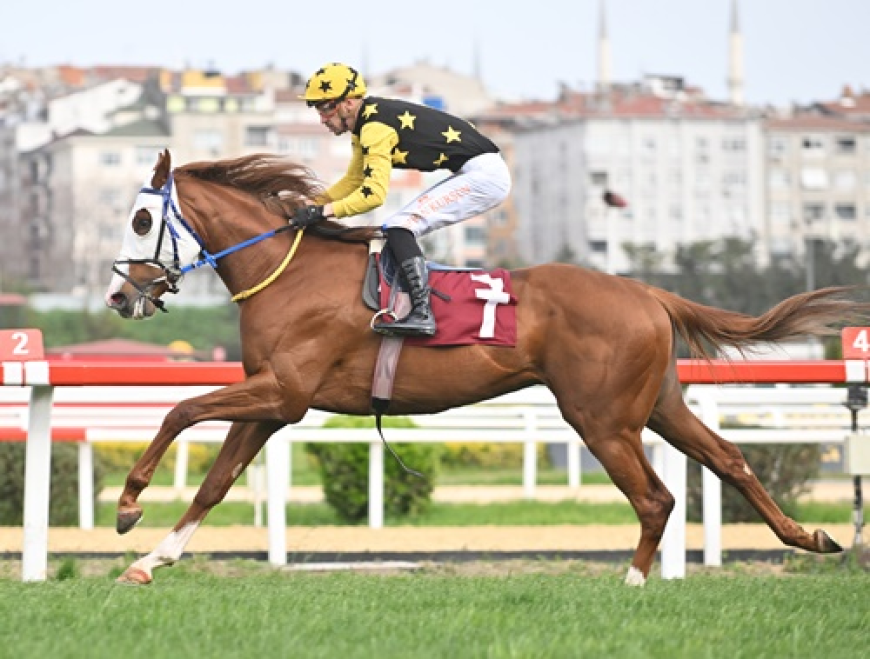 Gazi Koşusu Yolunda İlk Prova: Ergin Talay Koşusu'nu Namağlup Wolf Rules Kazandı!