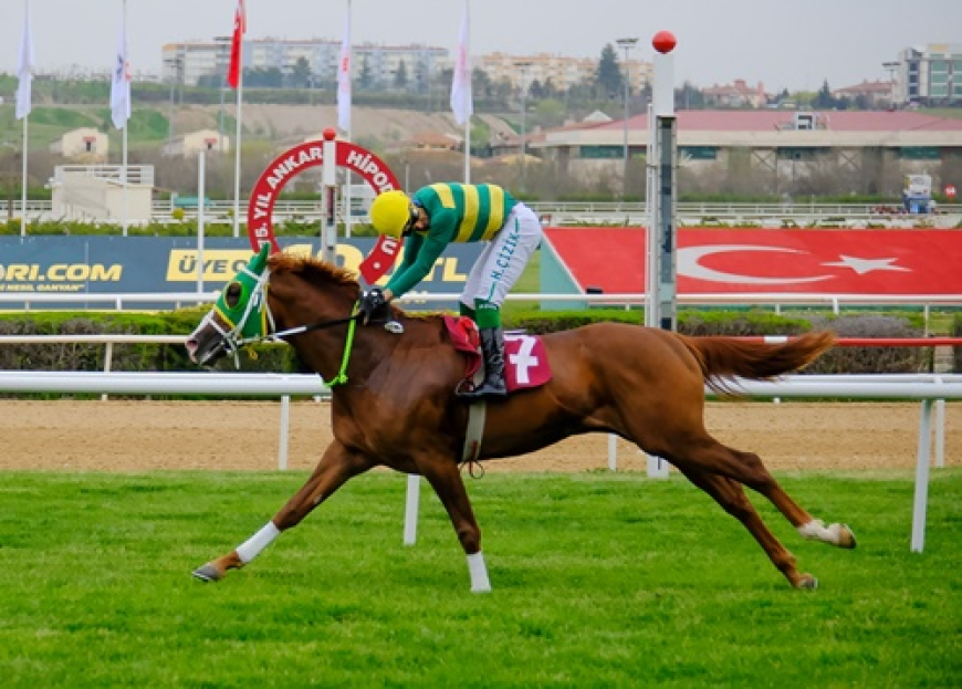 Ankara'da Sezon Açılışı: Cevdet Karataş Koşusu'nda Zafer Herzaman'ın Oldu