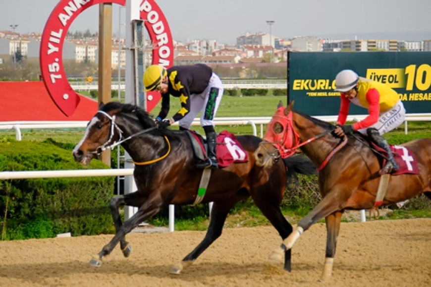 Ankara Emniyet Müdürlüğü Koşusu'nda Zafer Dragon Kingdom'ın Oldu