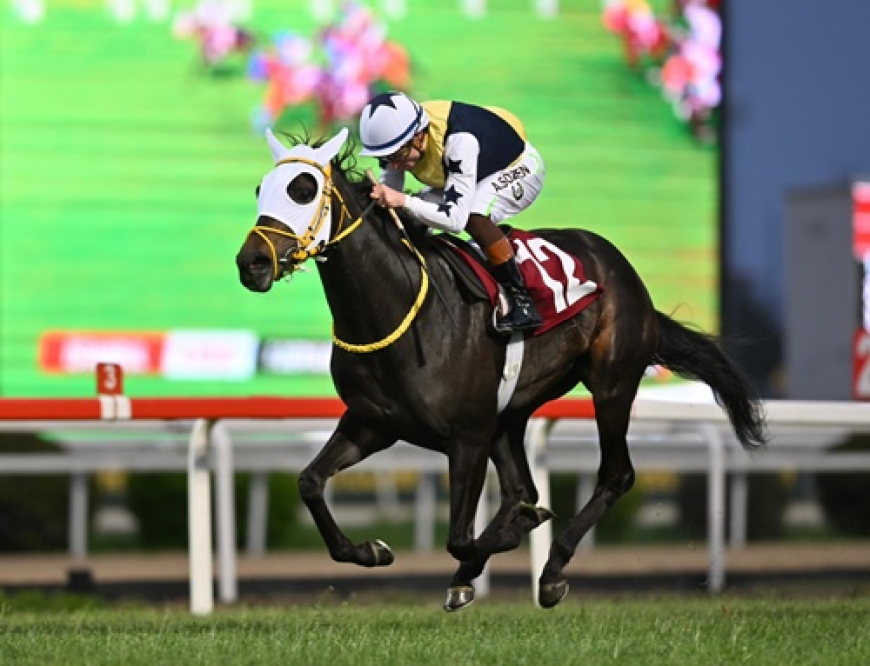 F. Derya Beşikçi Koşusu'nda Zafere Star Runner Uzandı