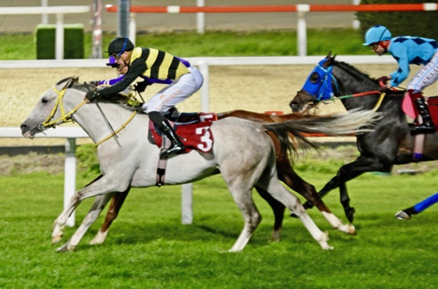 Attila Midillili Koşusu'nda Formda Safkan By Türkoğlu'ndan Üst Üste 5. Zafer!