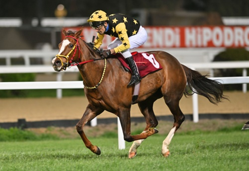 N. Arek Kuyumciyan Koşusu'nda Zafere Amazing Touch Uzandı