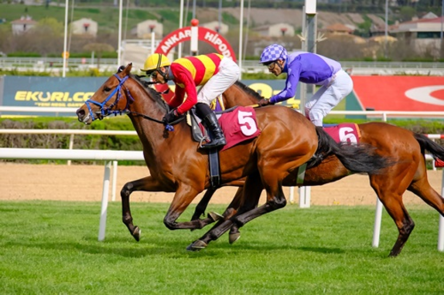 Ankara'da Upamecano Rüzgarı: Ali Orhan Birol Koşusu'nda Geçilmezlik Serisi Sürdü