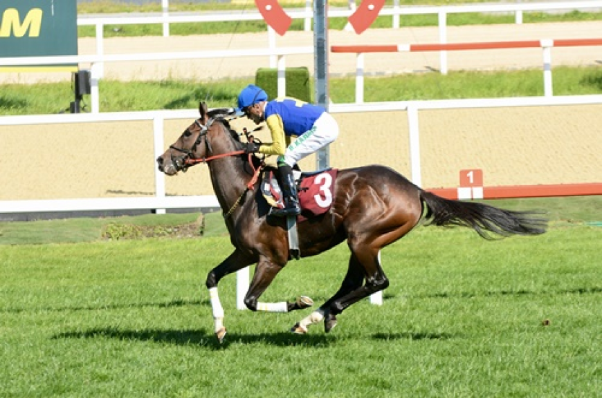 Tevfik Çelikoğlu Koşusu'nda Çim Pistin Kazananı Power Song Oldu