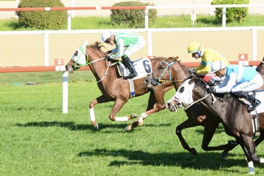 Ali Doğan Ünlü Koşusu'nda Usta Jokeyiyle Kazanan Tonbi Oldu