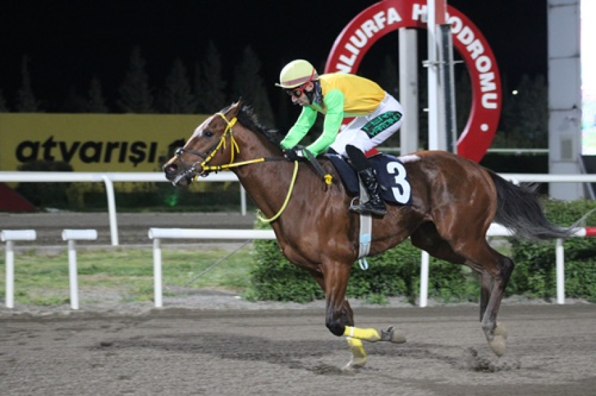 Harran Üniversitesi Koşusu'nda Zafer King Ferit'in Oldu