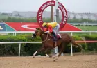 AB Başkanlığı Avrupa Günü Koşusu'nda Zafere Good Wiew Glory Ulaştı