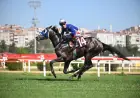 Dinçer Cebeci Koşusu'nda Zafere The Real One Uzandı