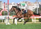 Yavuz Gülerce Koşusu'nda Zafere Parker Uzandı