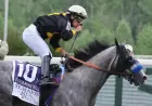 151. Preakness Stakes'te Tarihi Zafer Napoleon Solo'nun Oldu