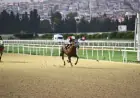 Berat Gökçe Koşusu'nda Zafere Huge Succes Uzandı