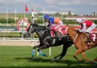 TEMA Vakfı Toprak Yaşamdır Koşusu'nda Zafere Ride The Lightning Uzandı
