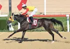 A. Semiral Bilbaşar Koşusu'nda Zafere Whisper Of Victory Uzandı