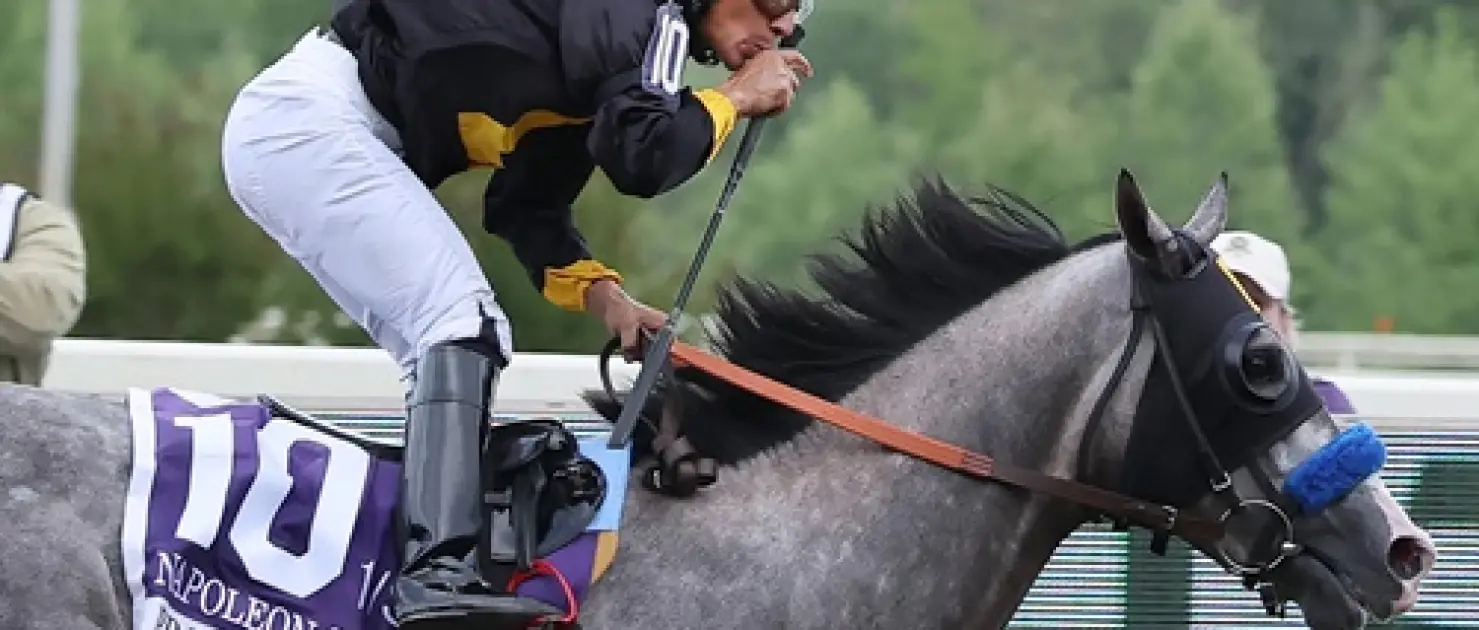 151. Preakness Stakes'te Tarihi Zafer Napoleon Solo'nun Oldu