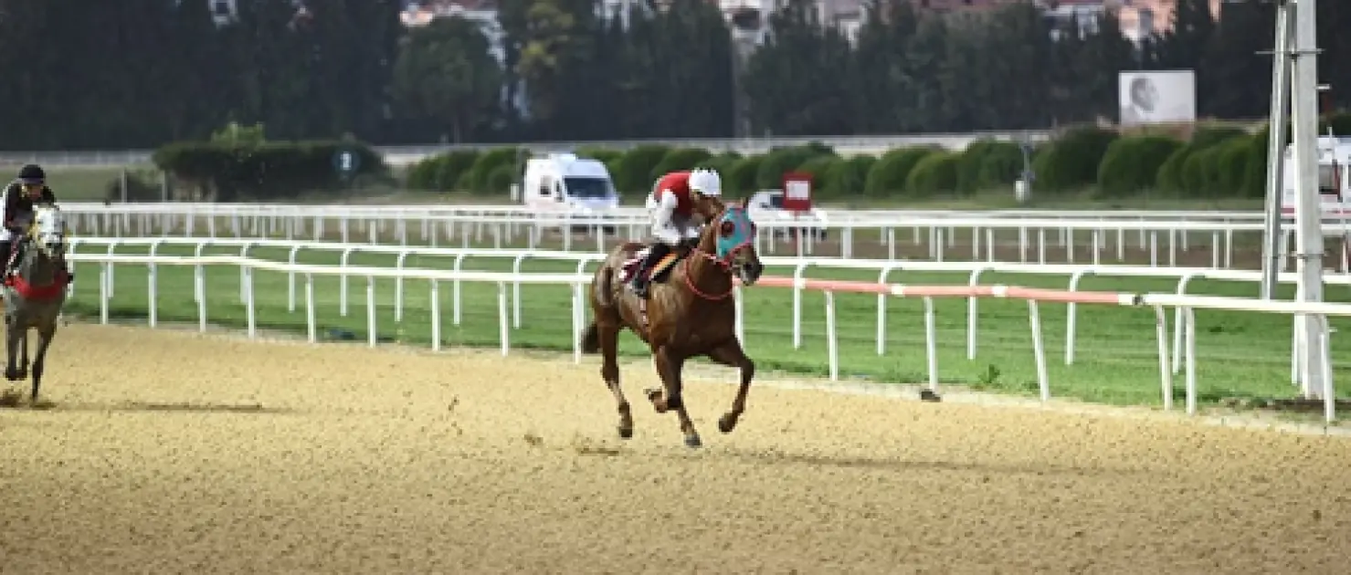 Berat Gökçe Koşusu'nda Zafere Huge Succes Uzandı