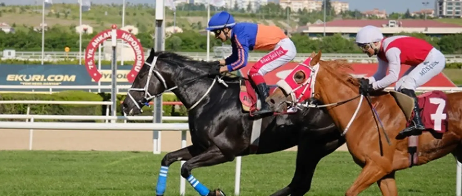 TEMA Vakfı Toprak Yaşamdır Koşusu'nda Zafere Ride The Lightning Uzandı