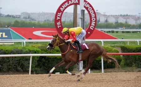 AB Başkanlığı Avrupa Günü Koşusu'nda Zafere Good Wiew Glory Ulaştı