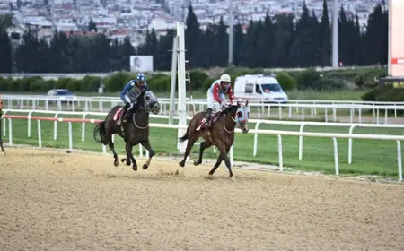 Türk Kadınlar Konseyi Koşusu'nda Zafere Brave Orphan Uzandı