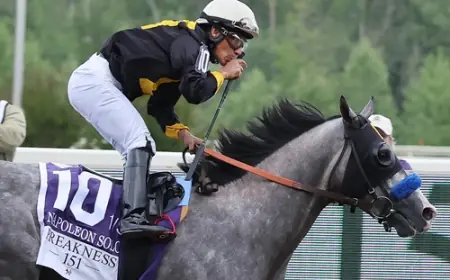 151. Preakness Stakes'te Tarihi Zafer Napoleon Solo'nun Oldu
