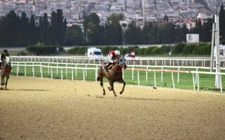 Berat Gökçe Koşusu'nda Zafere Huge Succes Uzandı