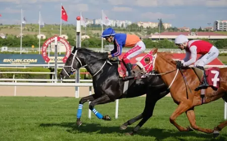 TEMA Vakfı Toprak Yaşamdır Koşusu'nda Zafere Ride The Lightning Uzandı
