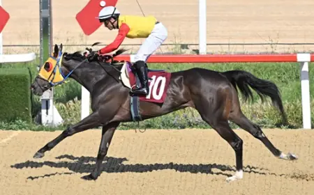 A. Semiral Bilbaşar Koşusu'nda Zafere Whisper Of Victory Uzandı